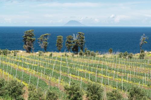 Tenuta Rasocolmo in Messina