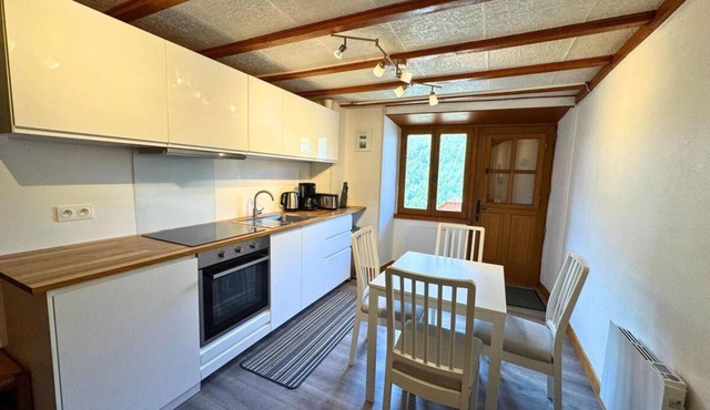 Terrace, fireplace or stove, tv, ski locker, 30m², Les Menuires