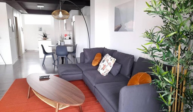 Terrace loft with indoor swimming pool & SPA