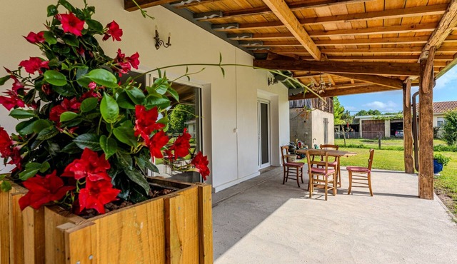 Terraced house 4 people, pets allowed, terrace in Sanguinet