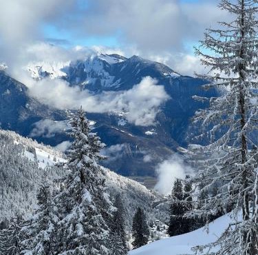terrasse plus parking pour 8 personnes au ski à Torgon