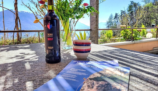 Terrazzo Prato Pernice Apt.12 by Interhome