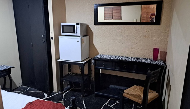 Terrific 2-bedroom studio in vibrant south of Mexico City neighborhood.