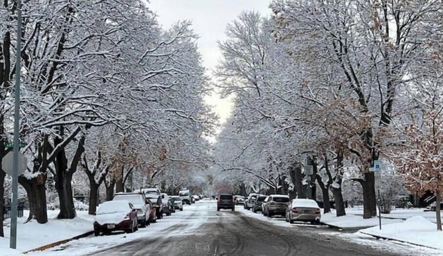 Terrific 3-bedroom bed & breakfast with AC in charming Missoula