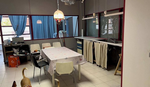 Tessas apartments, Sabadell 3