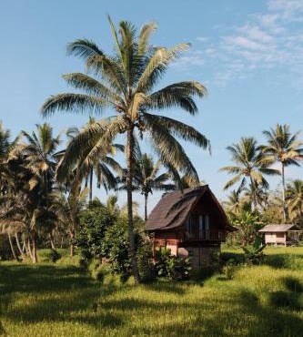 Tetebatu Rice field bliss