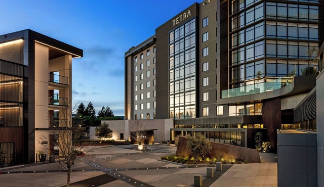 TETRA Hotel, Autograph Collection