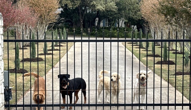 Texas Barn-House, Rustic, Peaceful in Heart of Med Ctr, permit STR-22-13500017