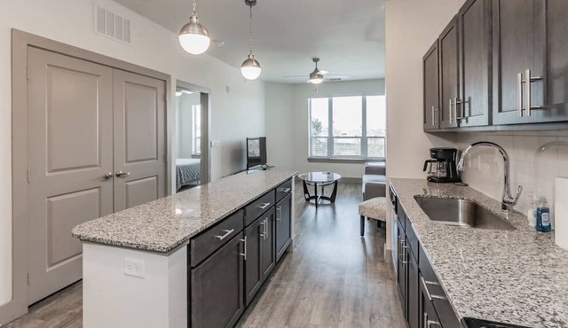 Texas Corporate Housing Solutions Professional Apt
