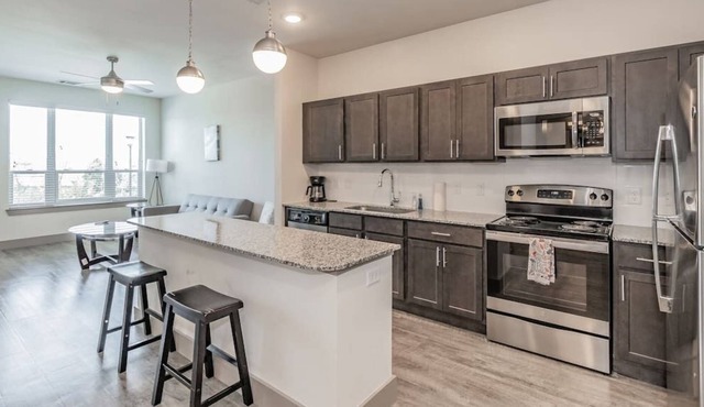 Texas Corporate Housing Solutions Professional Apt
