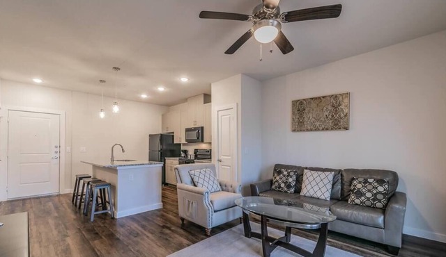 Texas Corporate Housing Professional Apartment
