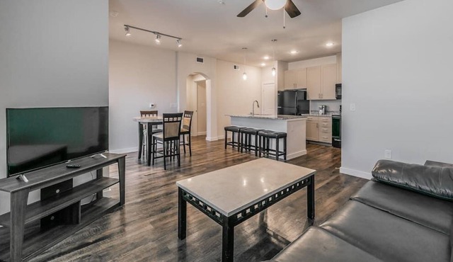Texas Corporate Housing Solutions Professional Apt