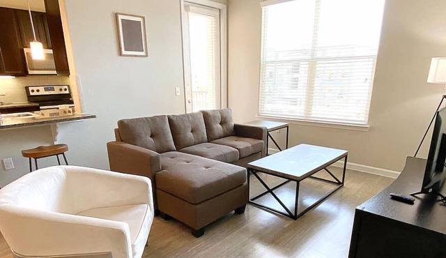 Texas Corporate Housing Solutions Professional Apt