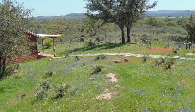 Texas T Bed and Breakfast