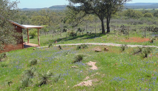 Texas T Bed and Breakfasts