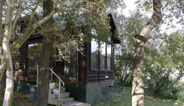 Texas Tiny House with Hill Country Charm