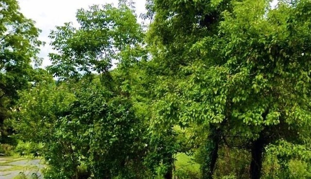 tf?! spotspace protective campnpet friendly, private, quiet, residential area