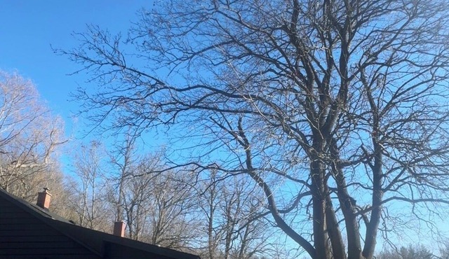 That quiet cottage on the Credit River