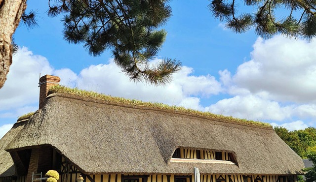 Thatched cottage at the anemone pond