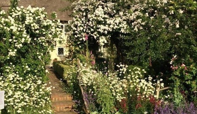 Thatched Cottage B&B