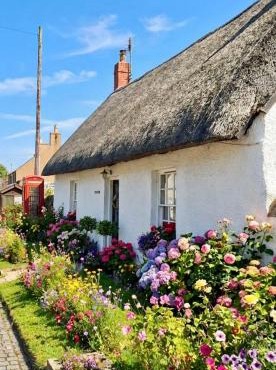 Thatched Cottage on Northumberland border