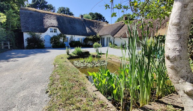 Thatched cottage - Parc de Brière