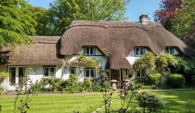 Thatched Eaves