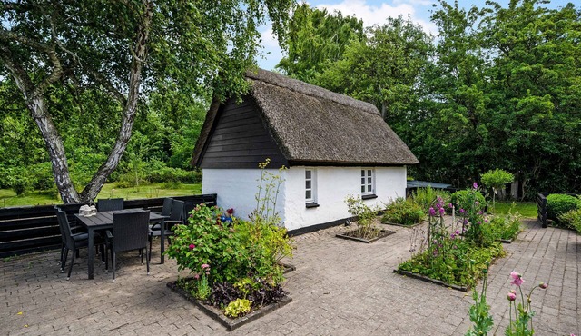 Thatched farmhouse 400 meters from the water