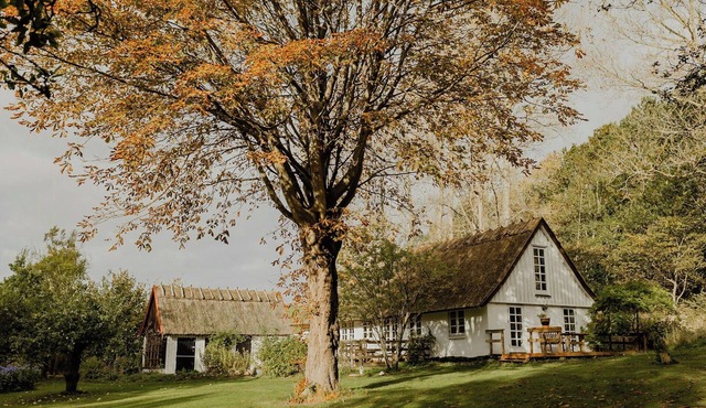 Thatched house between forest and meadow