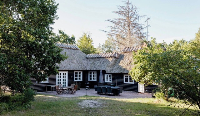 Thatched summer home perfect for two families