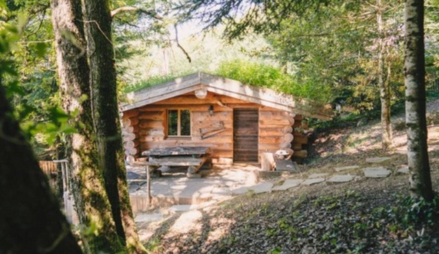 The 13 trees log cabin