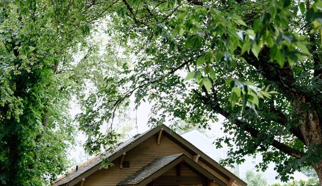 The 1920s Craftsman / Entire House