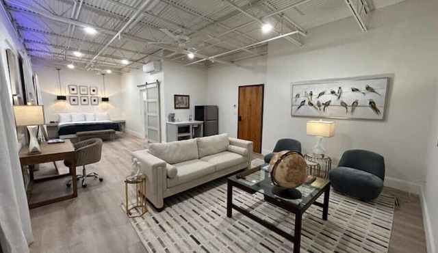 The 610 Flats: City Chic #22n