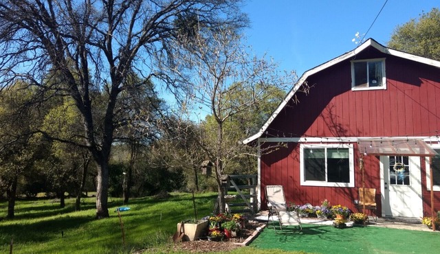 The Acorn Cottage | Rural Setting | Fast Internet!