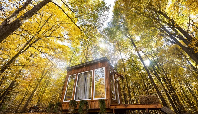 The Adler Cabin at Fernwood Hills