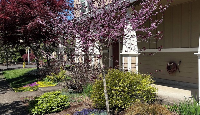 The Albany Guest House