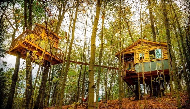 The Aliyah Treehouse with swinging bridge +285 acres hiking trails