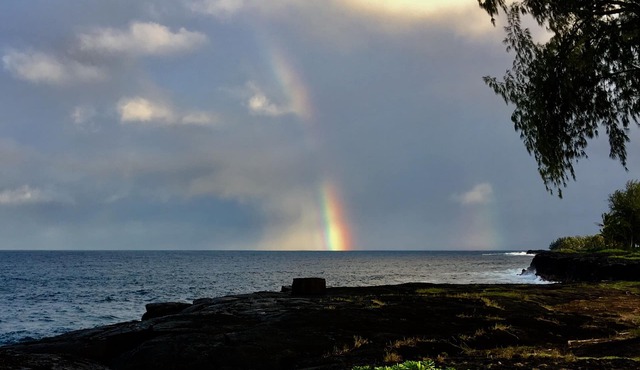 The Aloha Suite (Spacious one bedroom Suite)