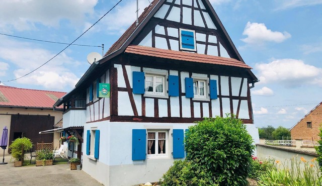 The Alsatian with 29 hearts