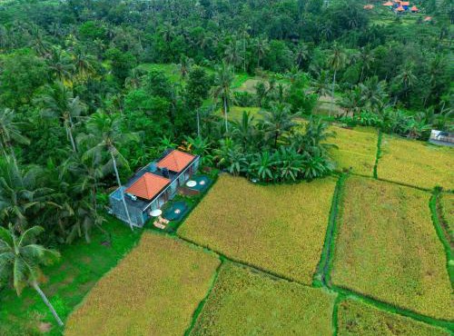 The Alus Cottage and Villa
