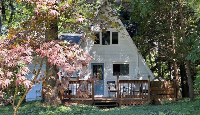 The ‘A’mazing Escape! Beaches, hiking trails, & great fall color tour location!