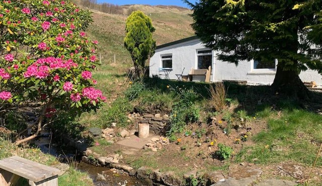 The Annex in Glenelg