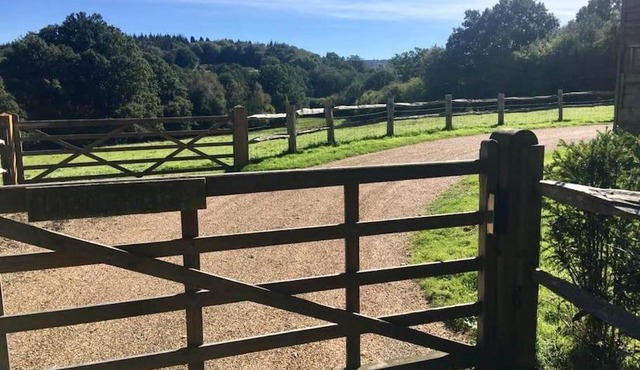 The Annex is in the beautiful Ashdown Forest