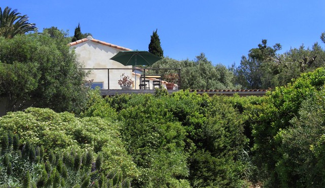 The Ant Studio "Pin"