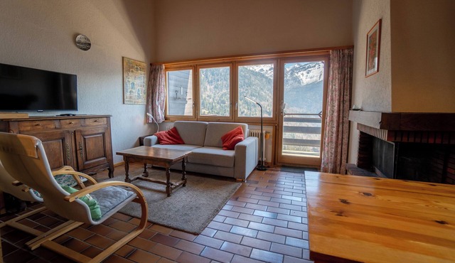 The apartment is located below the road to Villars halfway to the village of Gryon and the Barboleus