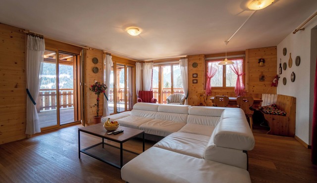 The apartment is located 150m from the Place de la Barboleuse in Gryon, close to all amenities, the