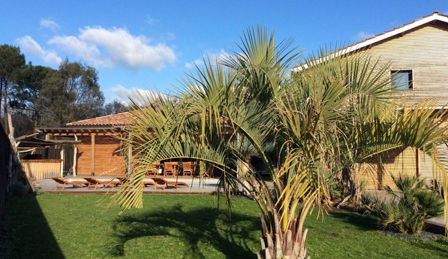 The apricot tree: Villa, driftwood, heated pool