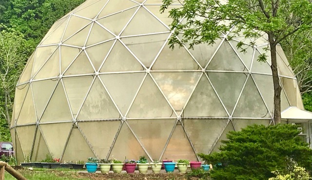 The Artful Dome Mtn Retreat in the Smokies with fire pit & stream
