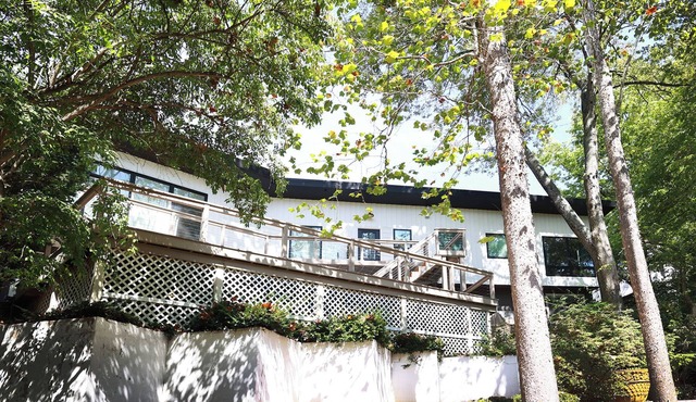 The Artisan - An Atelier in Nature's Canopy