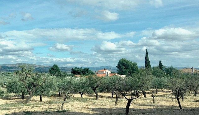 The artist's house, 3 bedrooms, 6 guests, private pool, garden, air conditioning